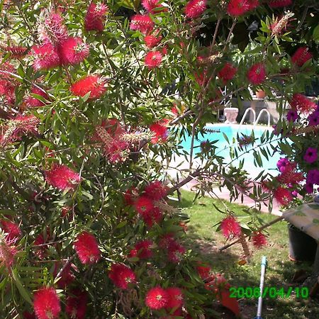 B&B Desenzano Дезенцано-дель-Гарда Екстер'єр фото