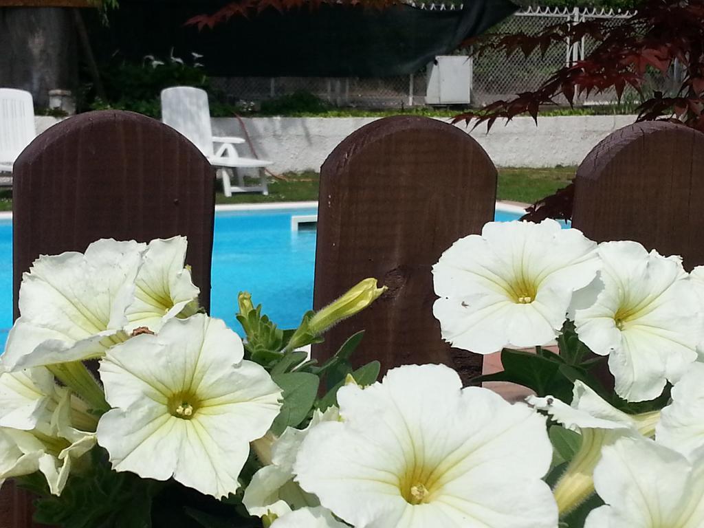 B&B Desenzano Дезенцано-дель-Гарда Екстер'єр фото