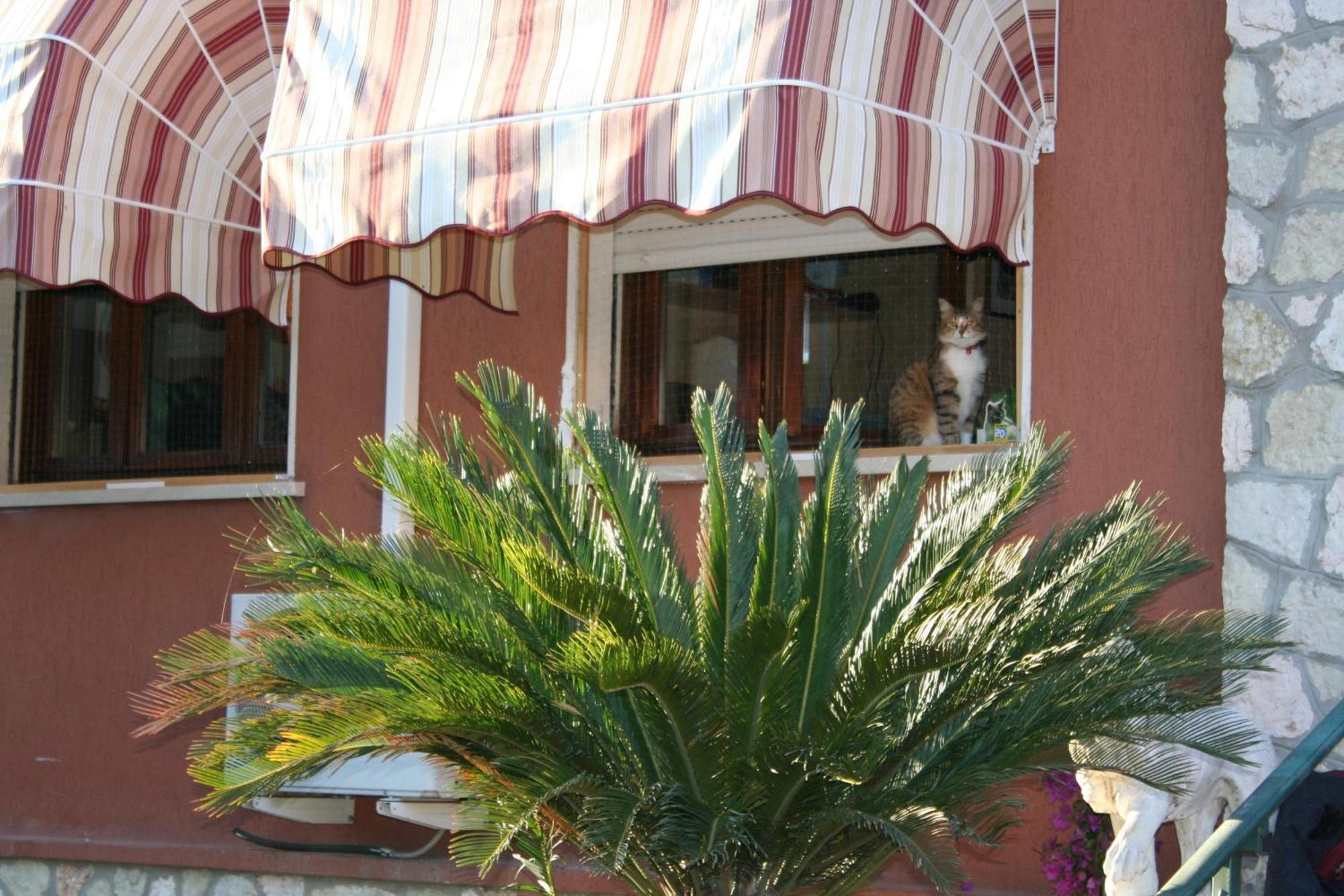 B&B Desenzano Дезенцано-дель-Гарда Екстер'єр фото