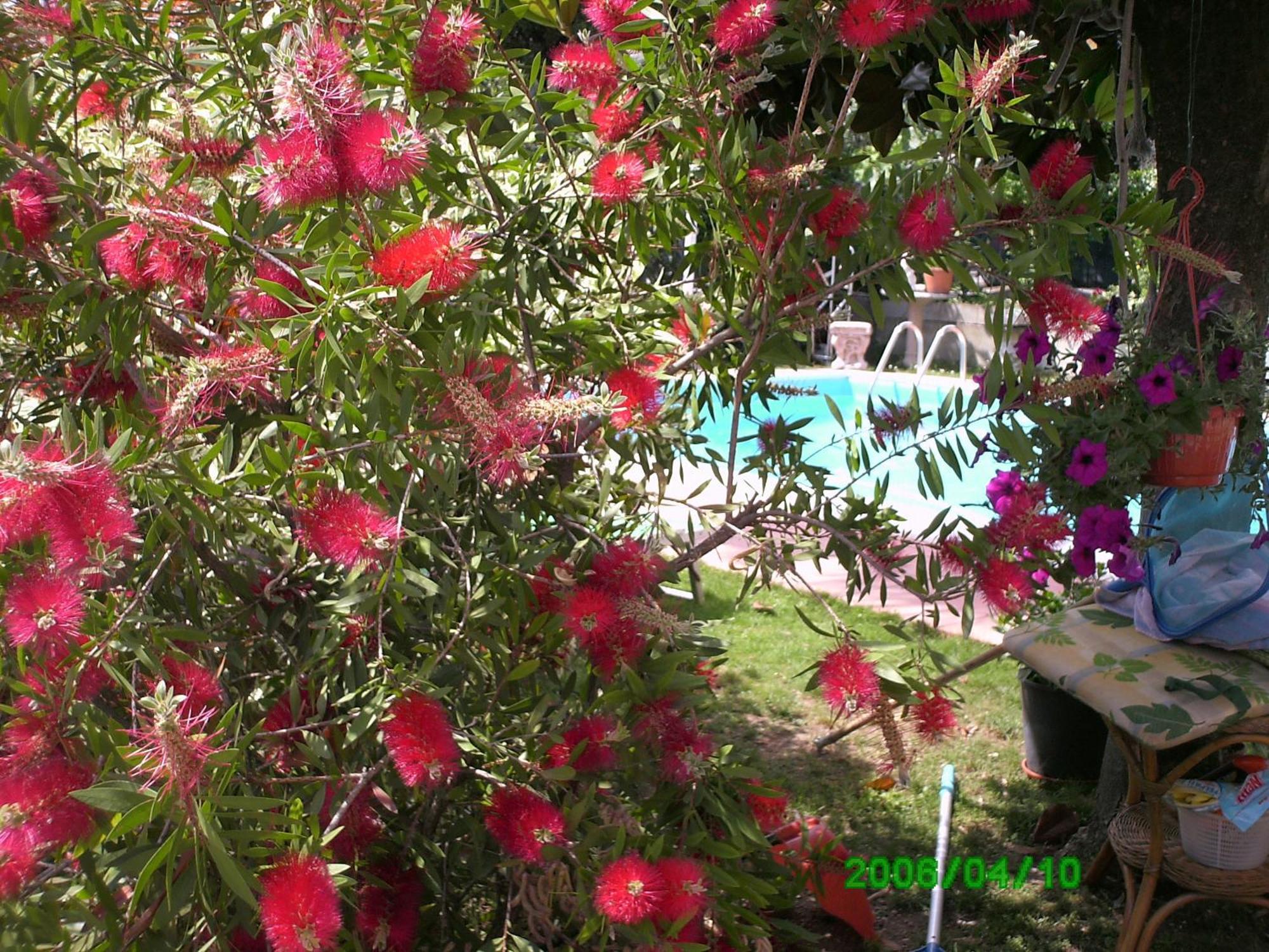 B&B Desenzano Дезенцано-дель-Гарда Екстер'єр фото