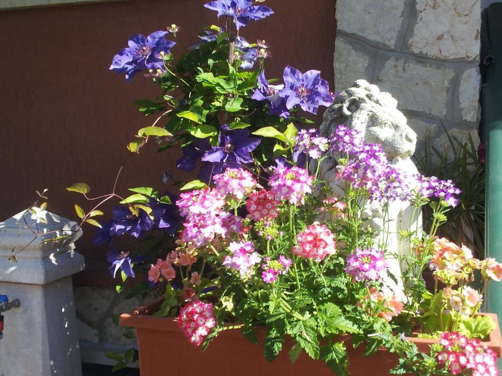 B&B Desenzano Дезенцано-дель-Гарда Екстер'єр фото